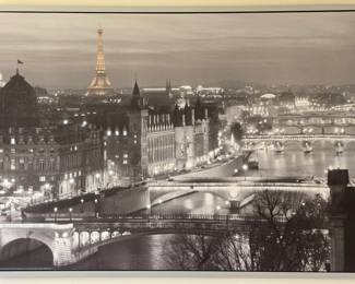 Ikea oversize Paris cityscape print (56"  x 38")