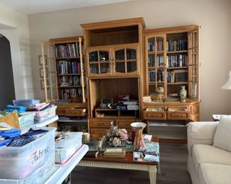 Fabric, books, dvds, couch, table, misc decor