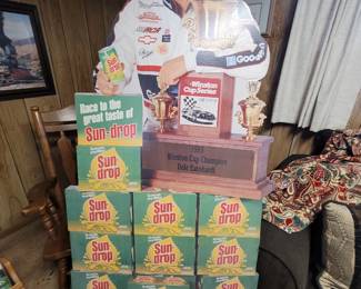 Dale Earnhardt display