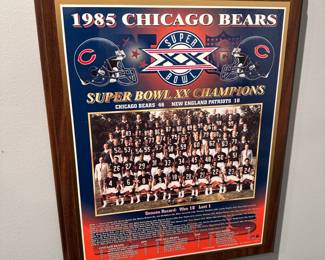 Bears