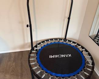 Kanehime Indoor Trampoline