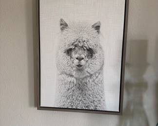 Llama art