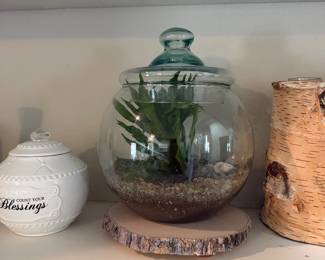 Terrarium