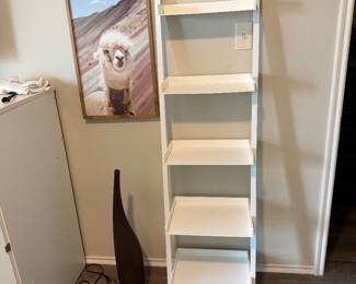 Ladder shelf