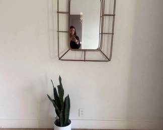 Mirror