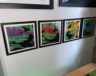 Framed & Signed 4 Piece Teenage Mutant Ninja Turtles Art Print Set