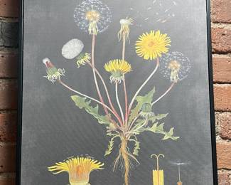 Framed Dandelion Chart Poster By Cavallini & Co.