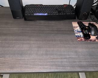 Powered Standing Desk