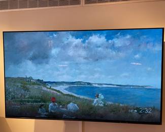 Massive Flat Screen TV