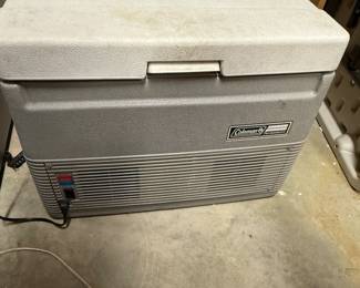 Electric cooler with car adapter