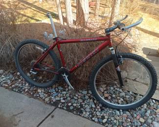 Nishiki mountain bike