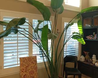 Regular sized chair, extra large plant