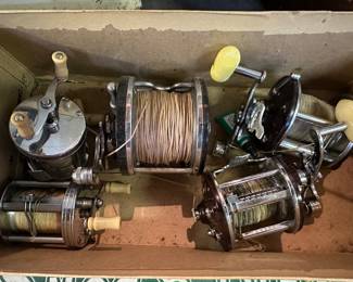 Fishing Reels