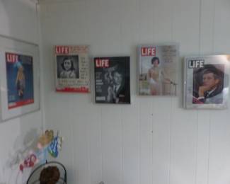 Framed Life magazines