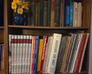 Collection of Assorted Books including Art History, Literature, and Educational Texts