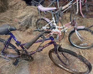 Huffy "Explore" and "Desert Rose" Children's Bicycles