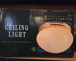 Patriot Lighting 351-2773 2-Light Flush Mount Ceiling Light