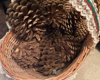 Large pine cones