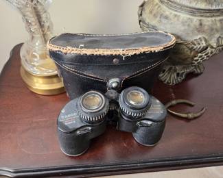 15 Vintage Tasco binoculars with case
