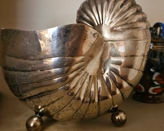 large silver shell