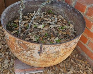 cast iron pot