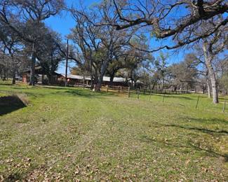 a view into the peaceful setting