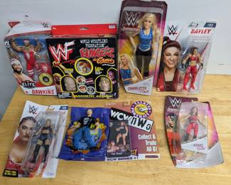 Wrestling Toy Lot