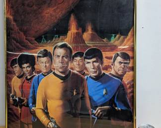 Star Trek Print in Frame
