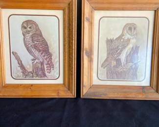 Two Owl Lithographs By E. Rambow 