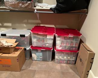 really nice Christmas ornaments & decor - all well stored