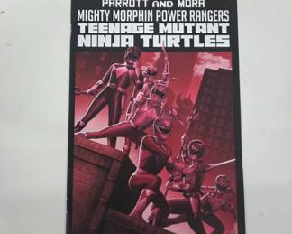 Mighty Morphin Power Rangers Teenage Mutant Ninja