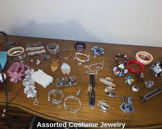 Assorted Costume Jewelry E