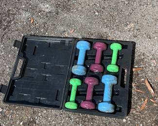 VINYL DUMBBELL SET YORK 20 LBS TOTAL 
