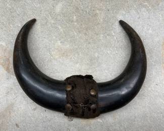 MOUNTED GOAT HORNS WESTERN WALL DECOR