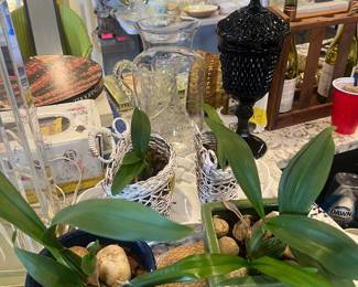 Orchids & imperial glass 