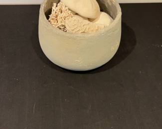 Natural Coral and Sand Dollars Decorative Display in Stone Bowl