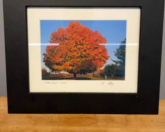 Avon, Conn 2004 Signed Fall Landscape Photograph