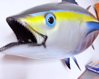 Blackfin Tuna Taxidermy