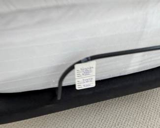 King Size.  (2 twins)  $900 .More photos coming tomorrow.