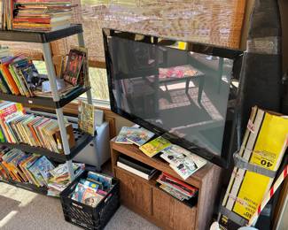 Flat Screen Television 