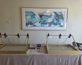 Very large (28" x 70") monotype (1 of 1) mixed media abstract by accomplished Brazilian artist.