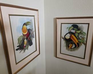 J Gould  19th century original lithographs of toucans