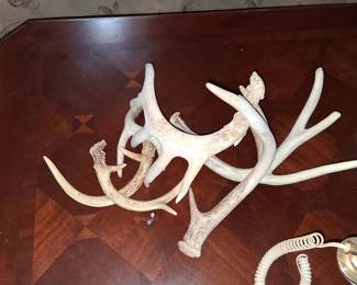 Antlers