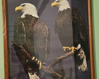 Framed Print of Two Bald Eagles by Ray Harm