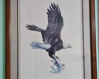 Bald Eagle in Flight by Hugh Hirtle