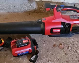 Toro V Leaf Blower Set