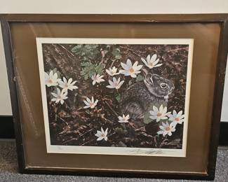Bruce Matteson Cottontail Rabbit Print
