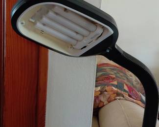 Adjustable Floor Lamp with Fluorescent Tube Fixture second image