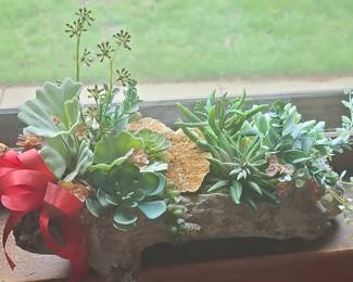 Artificial Succulent Driftwood Arrangement