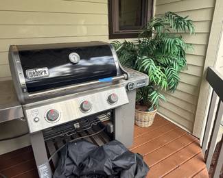 Weber Grill